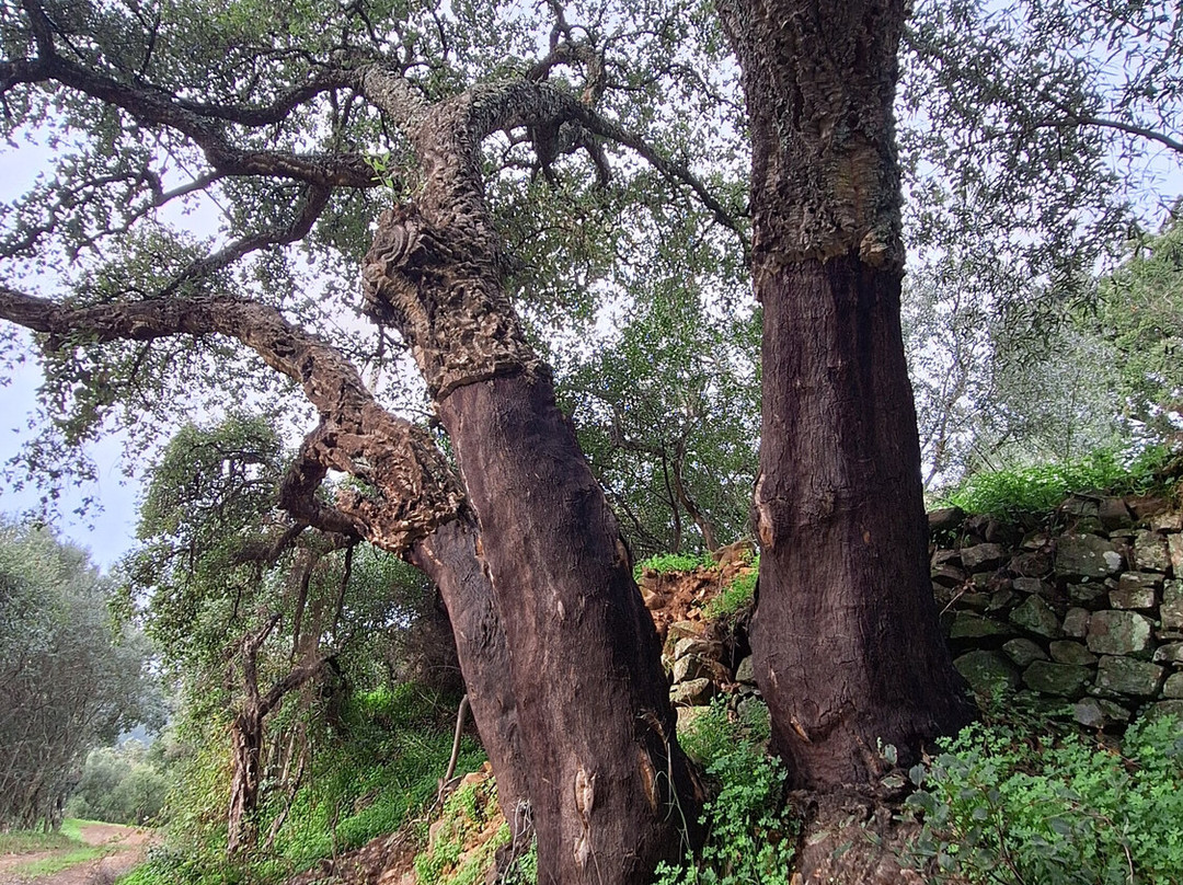 PerNatur - Nature Trails-奥良必去景点