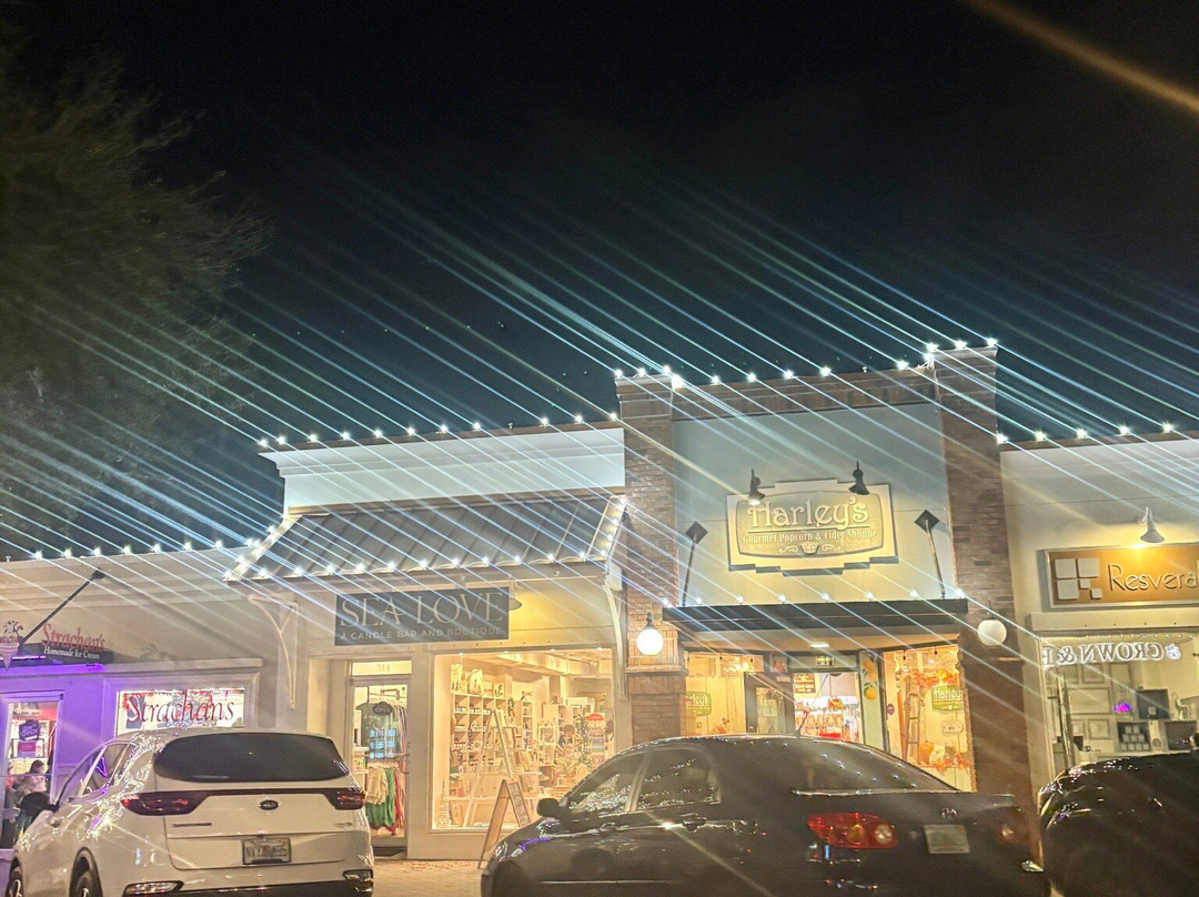 Dunedin Downtown Market-达尼丁必去景点