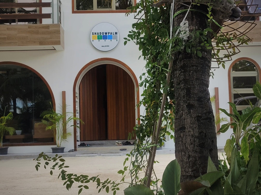 SHADOWPALM TOURS-马富士岛必去景点