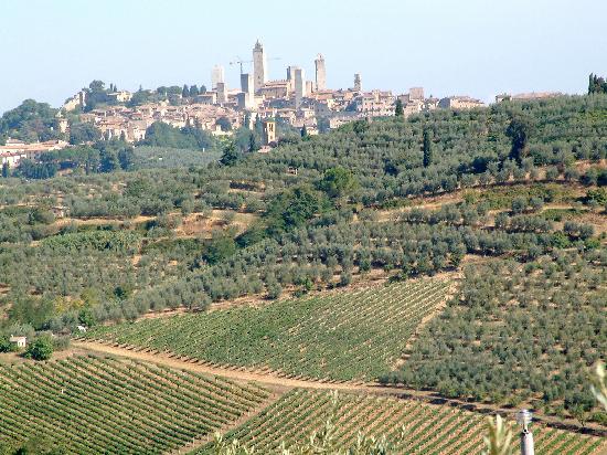 Vallebuia Country House-酒店景观