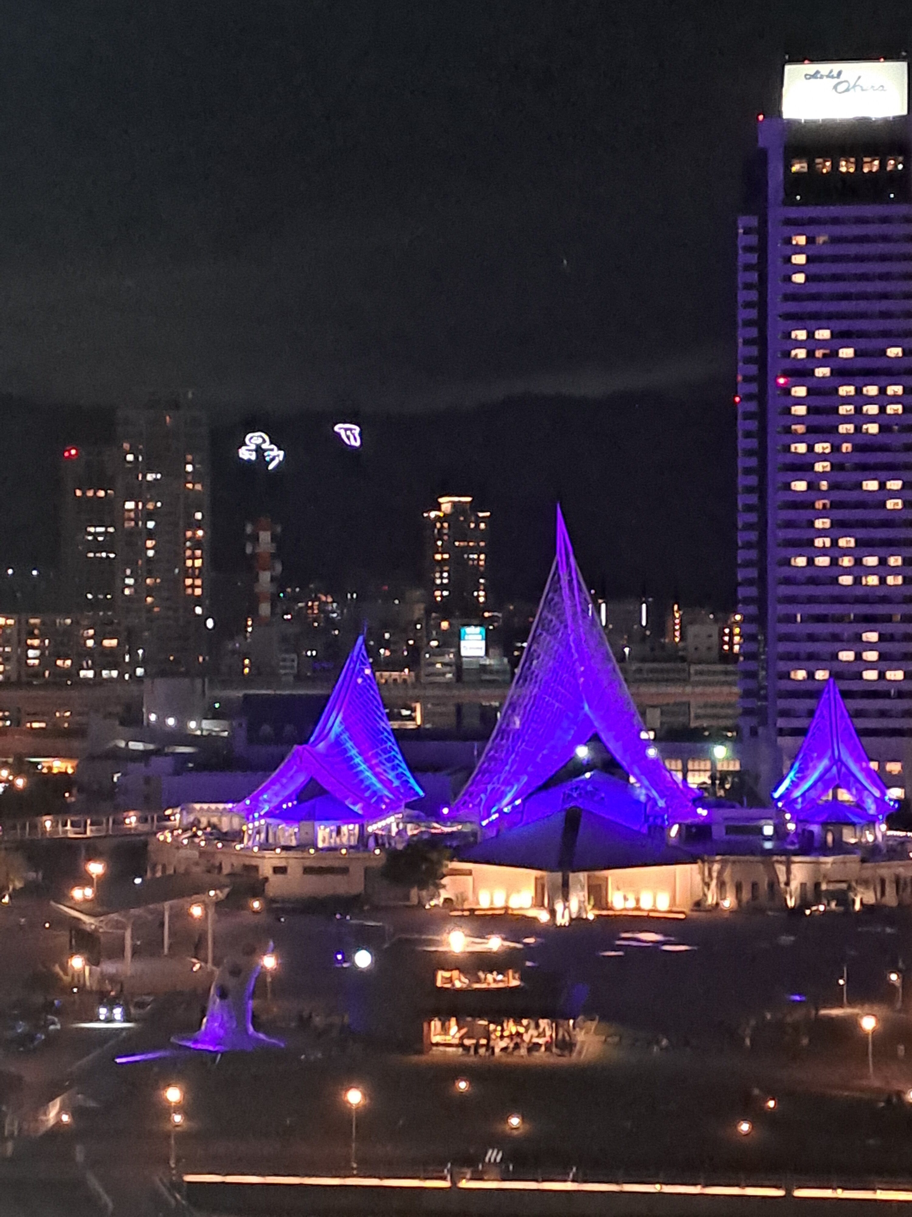 神户梅里肯公园东方酒店-酒店景观