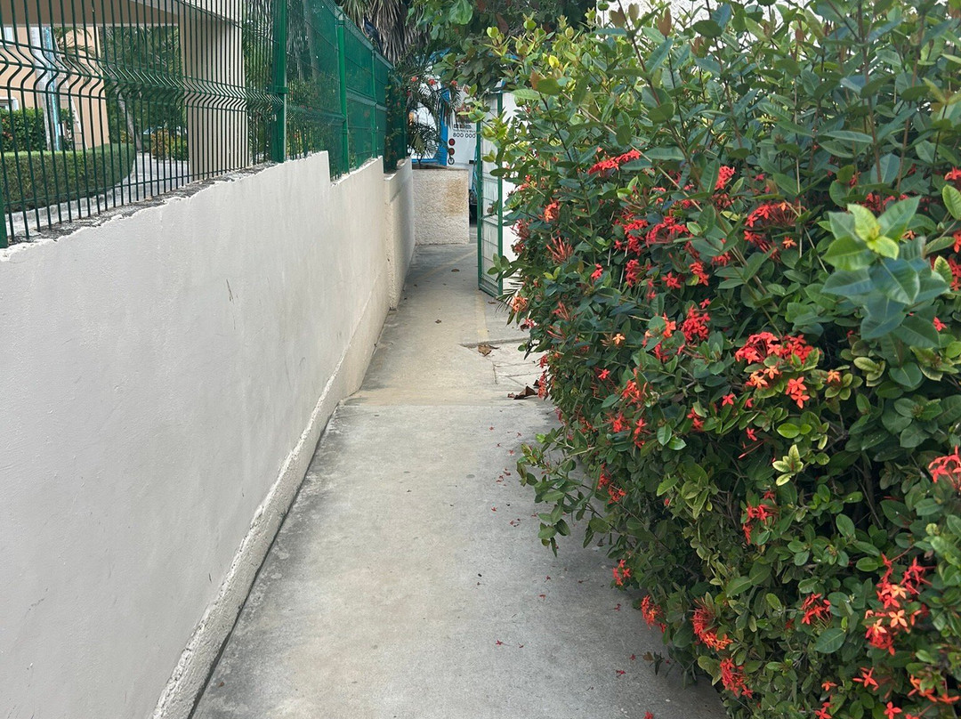 Puerto Aventuras-阿范特拉斯港必去景点