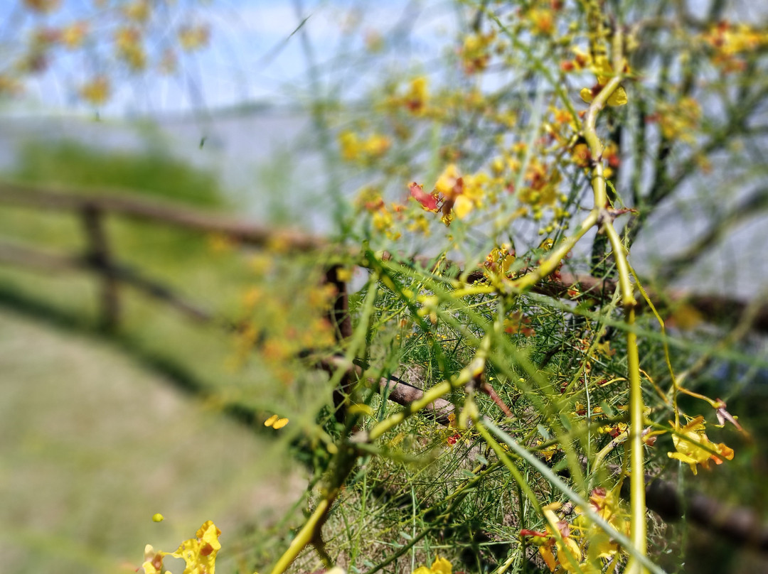 Parque Los Robles-Moreno必去景点