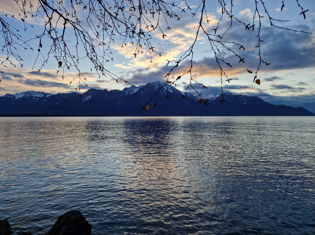 Christmas Market in Montreux-蒙特勒必去景点