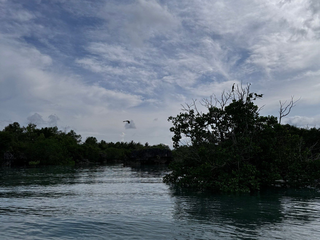 ScubaCaribe, Zanzibar-孥归必去景点