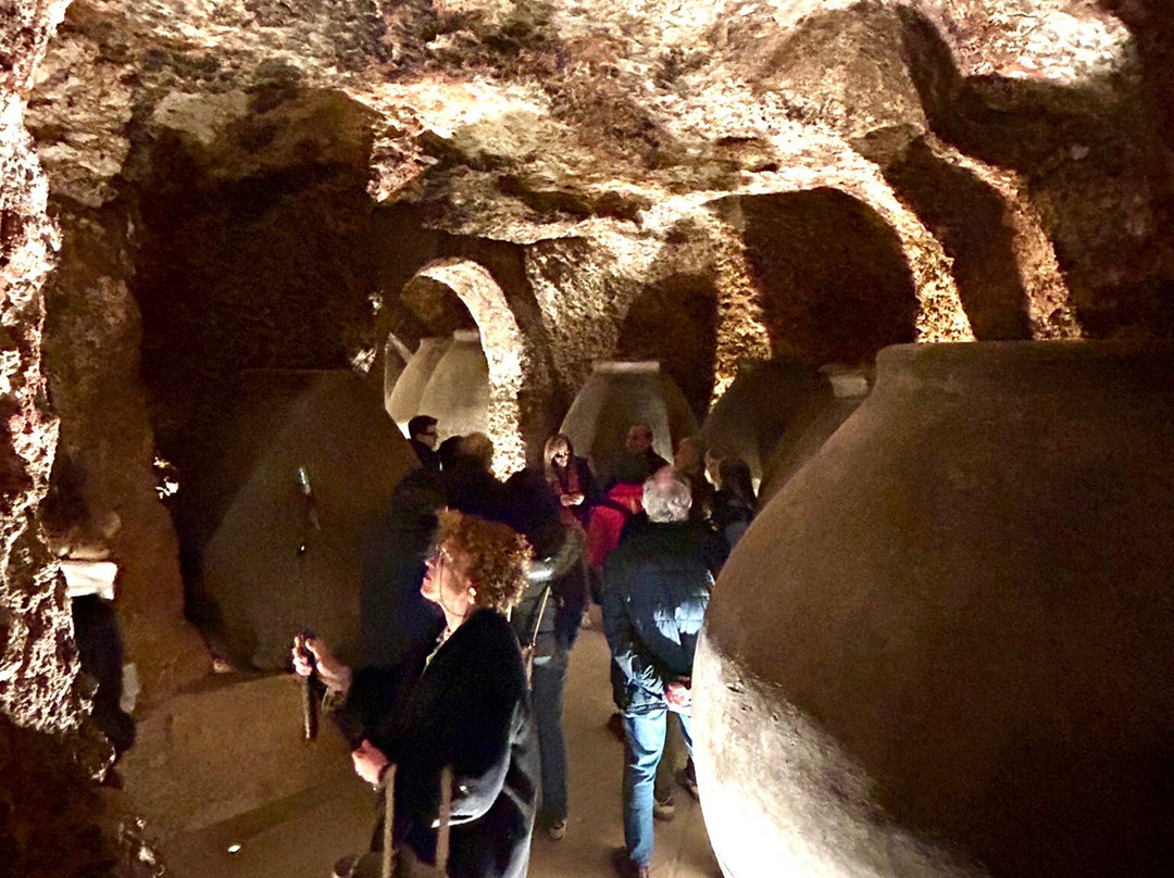 Bodegas Y Viñedos Pedro Garcia-Colmenar de Oreja必去景点