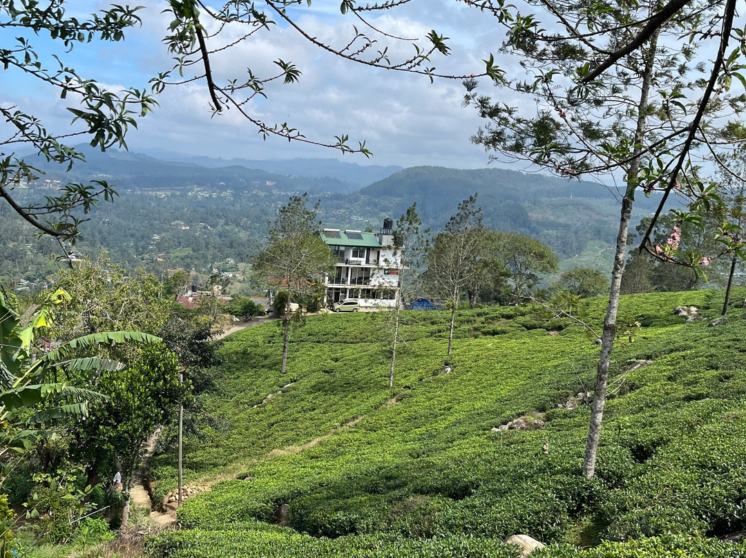 Nilowin Spice Kitchen-哈普特莱必去景点