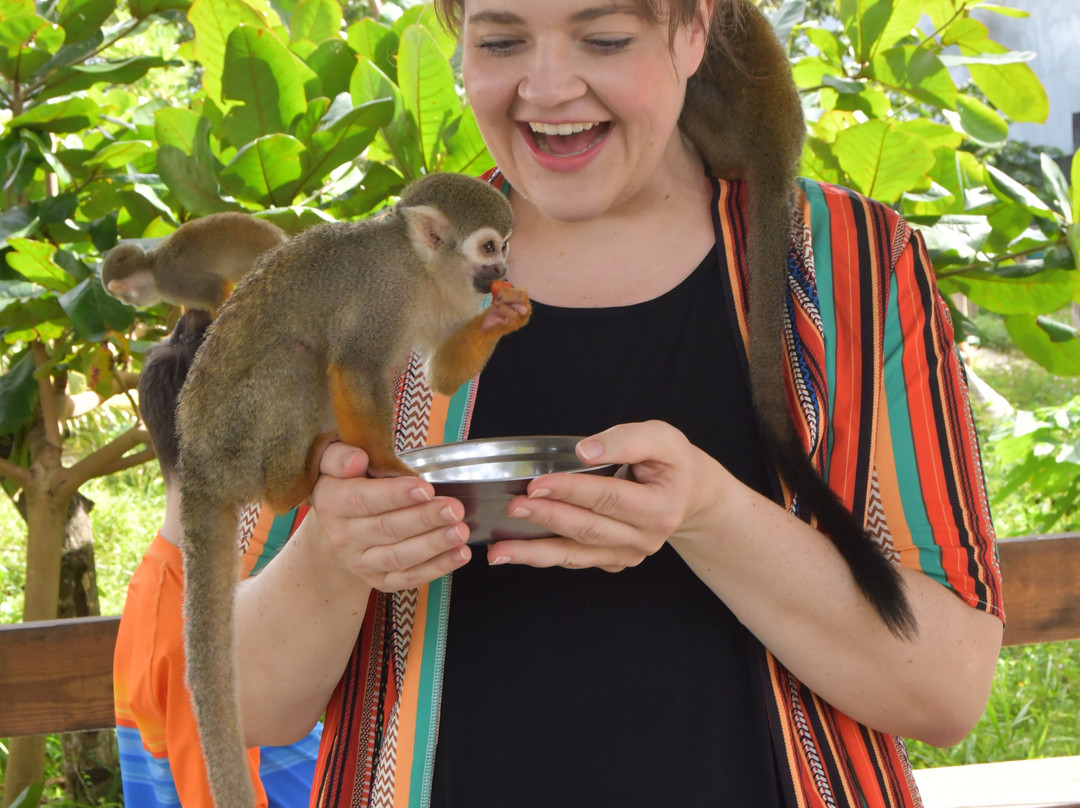 Monkey Home Puerto Plata-普拉塔港必去景点