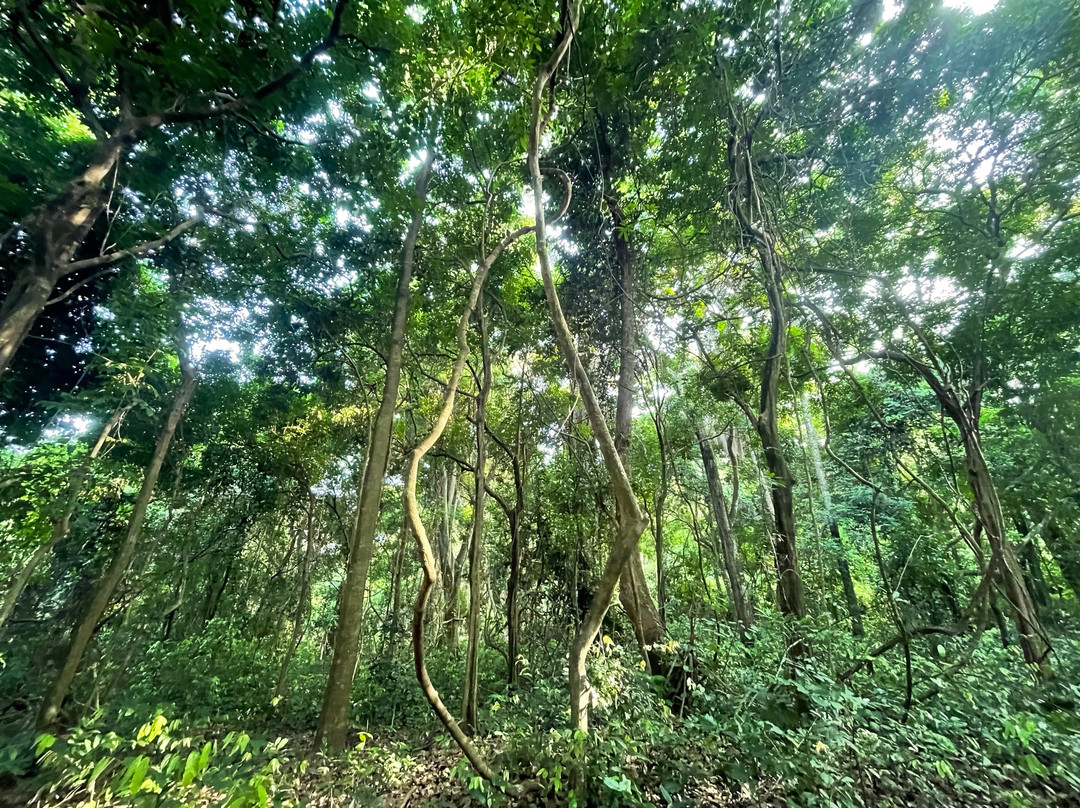 Kigoma Eco-Cultural Tourism