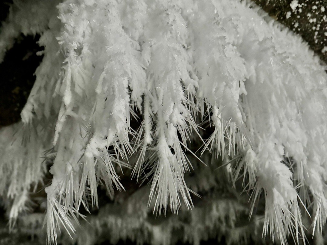 Steven Miley Photography-Delta Junction必去景点