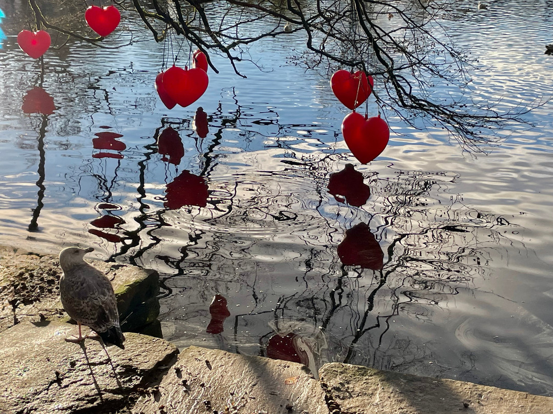 Breiavatnet-斯塔万格必去景点