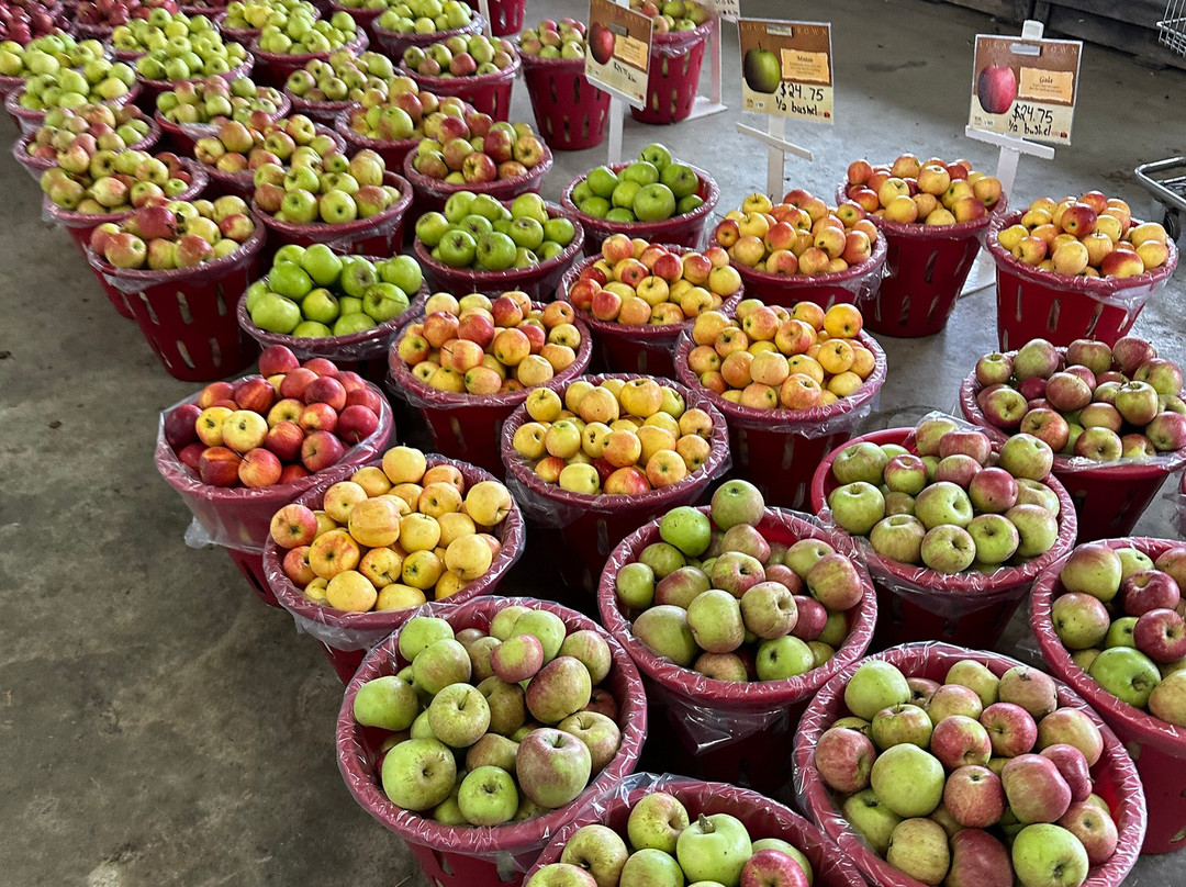Strites Orchard-哈里斯堡必去景点