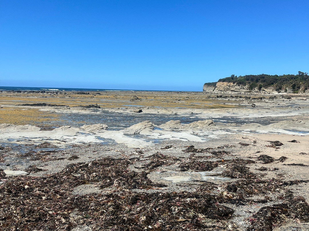 Eagles Nest-Inverloch必去景点
