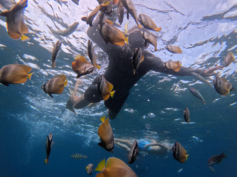 Supi Tour Nusa Penida-沙努尔必去景点