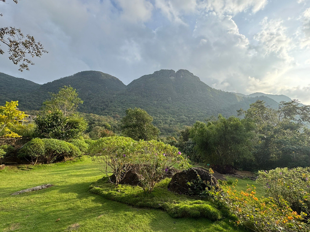 Rosewood Manor主图