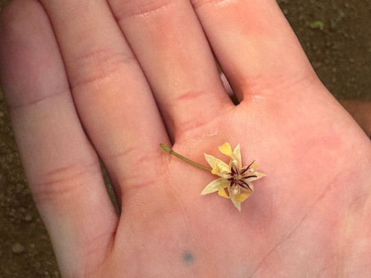 La Mona Galosa Chocolate Farm-哈科必去景点