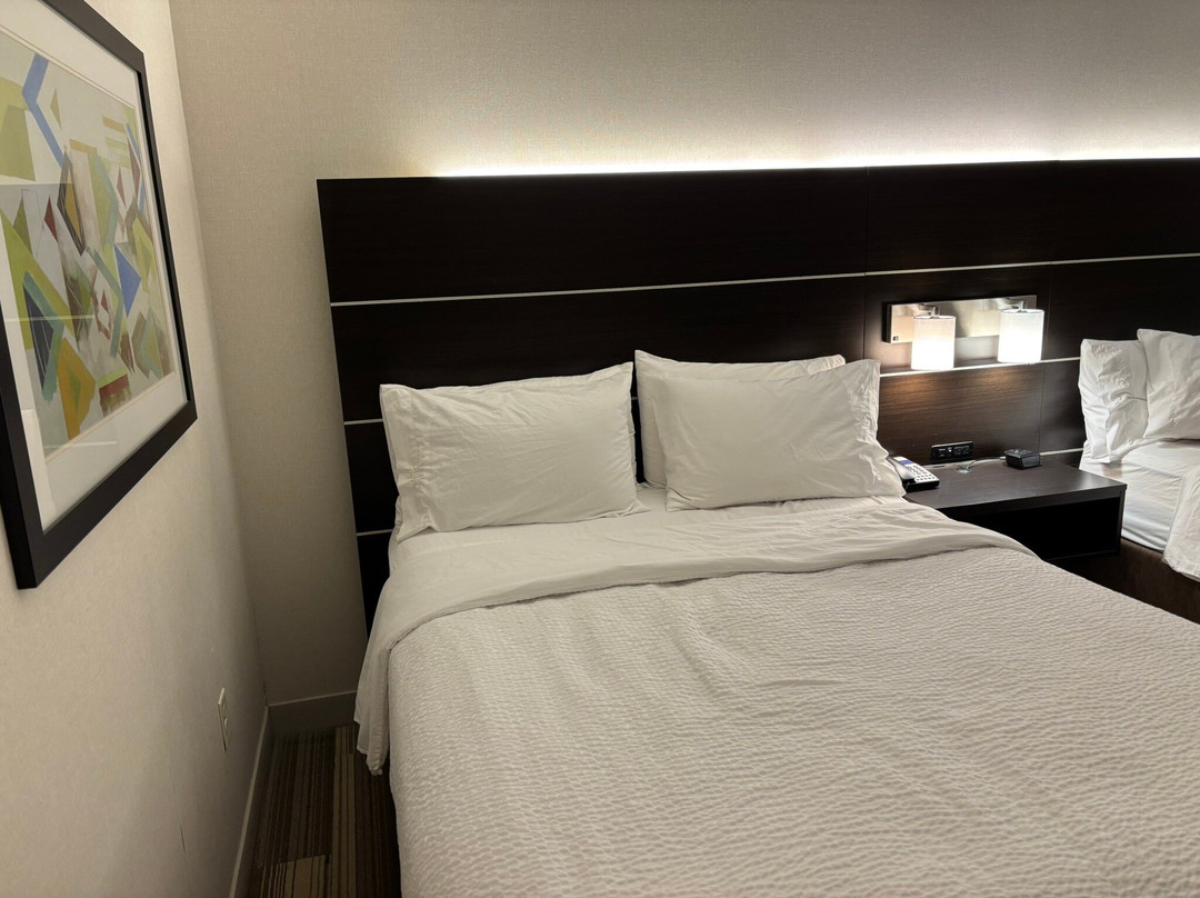 Holiday Inn Express & Suites St. Louis South - I-55 By IHG主图