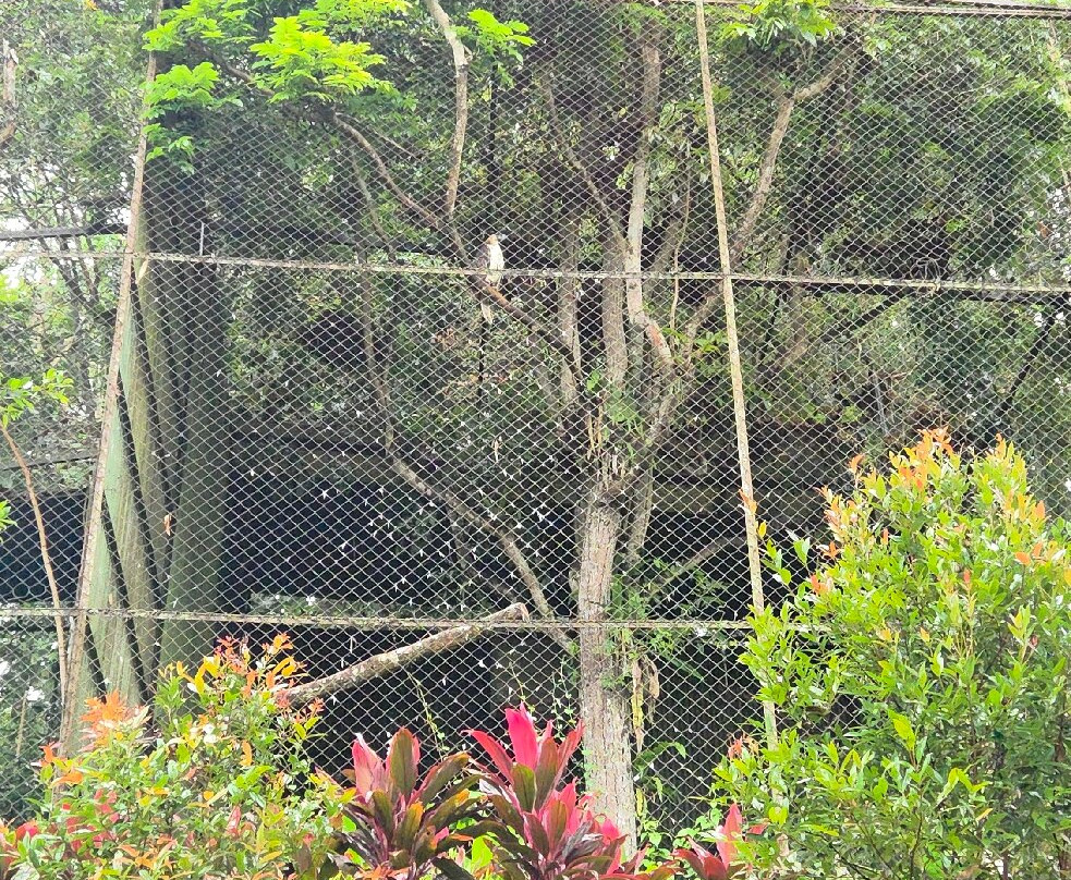 Philippine Eagle Center-达沃必去景点