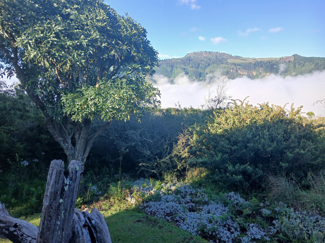 The Edge Mountain Retreat主图