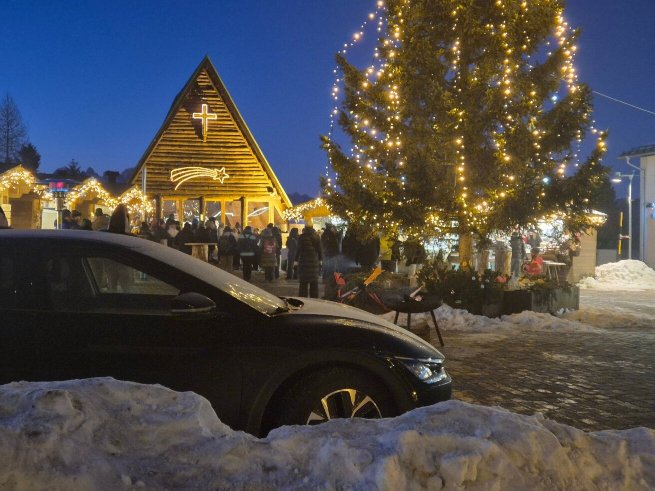 Hotel Alpine Mugon-官方