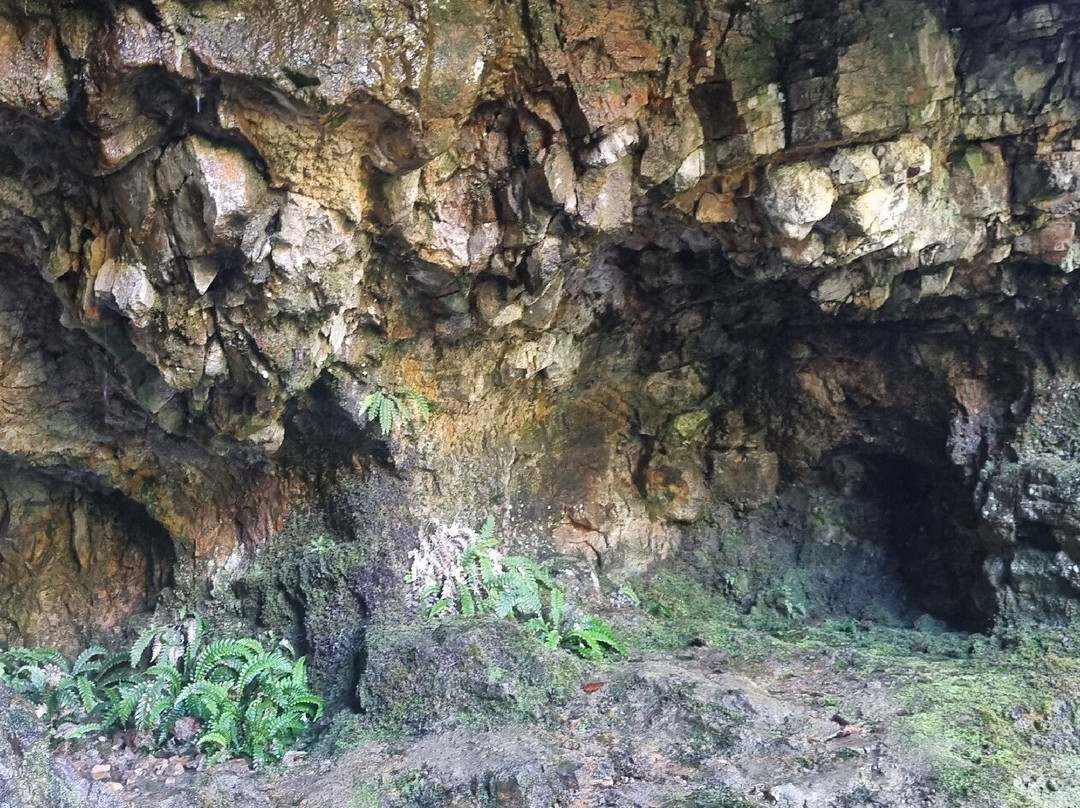 Washpen Falls-Darfield必去景点