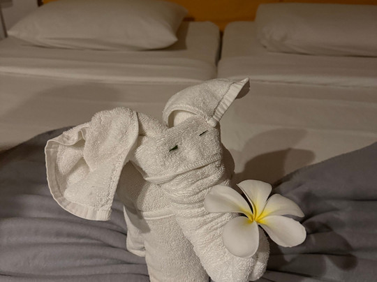 锡吉里亚村酒店主图