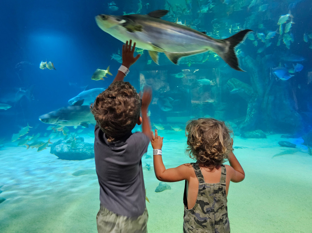 Angkor Wildlife & Aquarium-暹粒必去景点