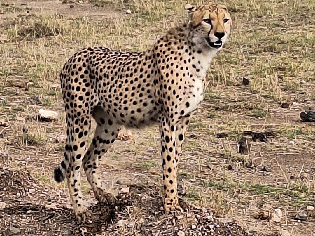 Aventure Safaris-蒙巴萨必去景点