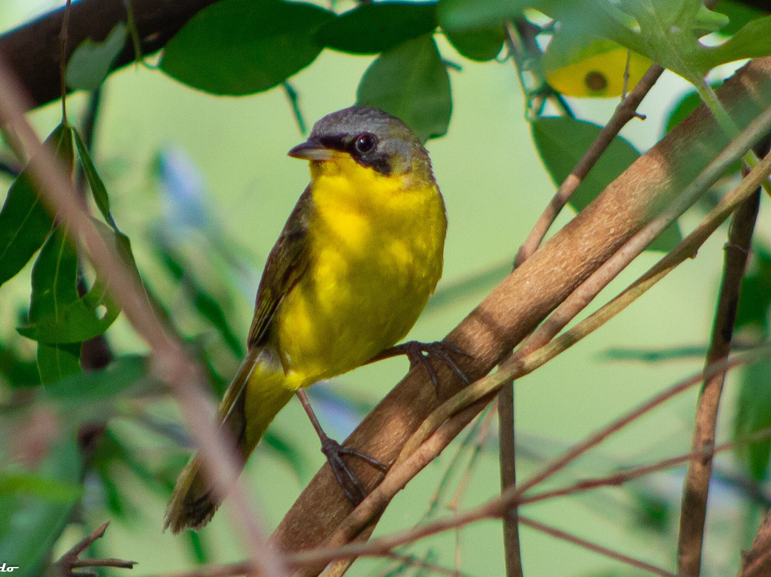 Complejo Costa Alta主图