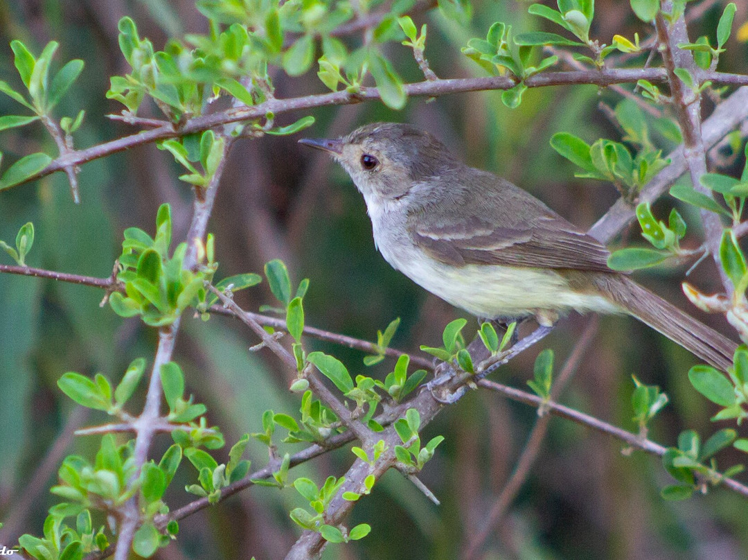 Complejo Costa Alta主图