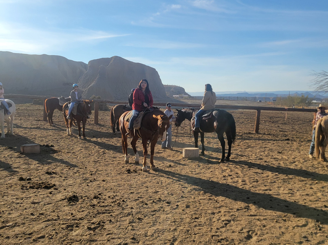 Big Bend & Lajitas Stables-Terlingua必去景点