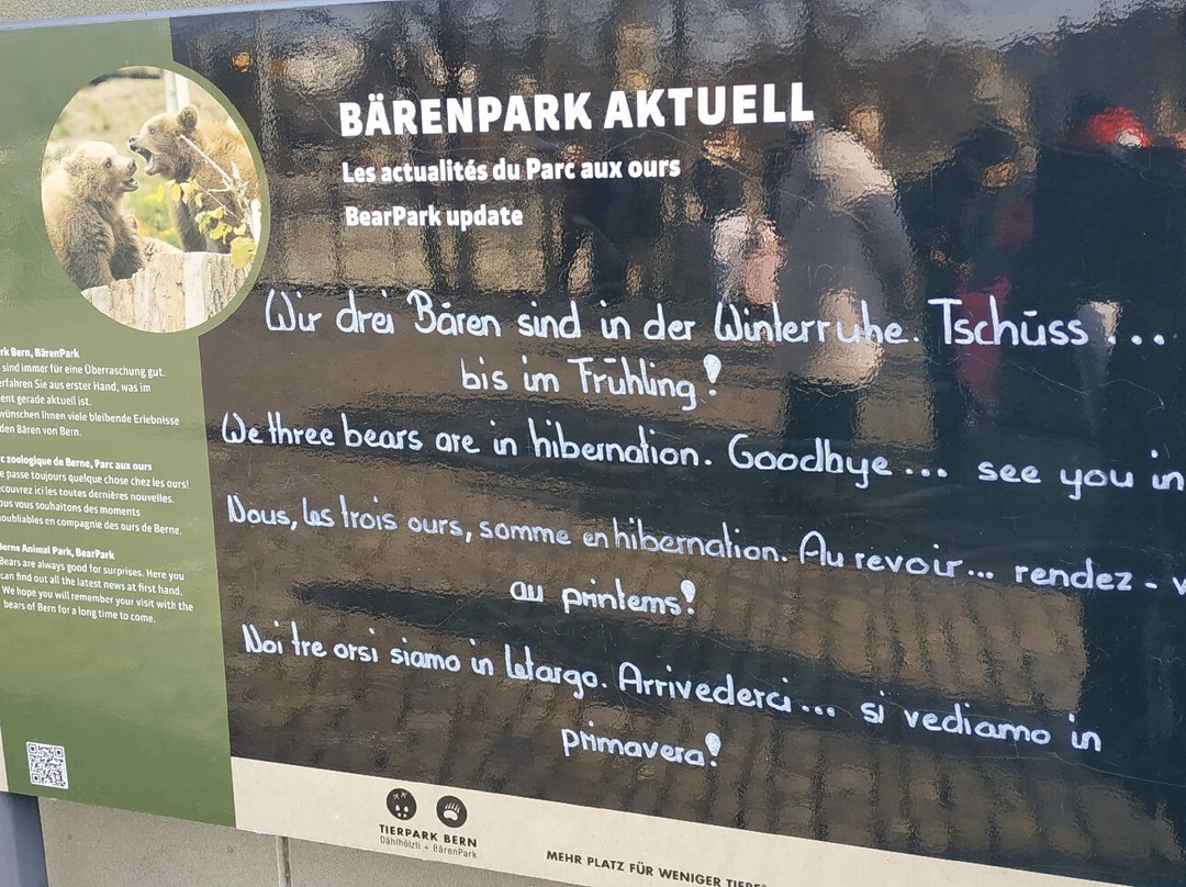 Barenpark-伯尔尼必去景点