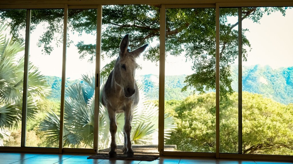 Hôtel Restaurant Le Rivland-浴室