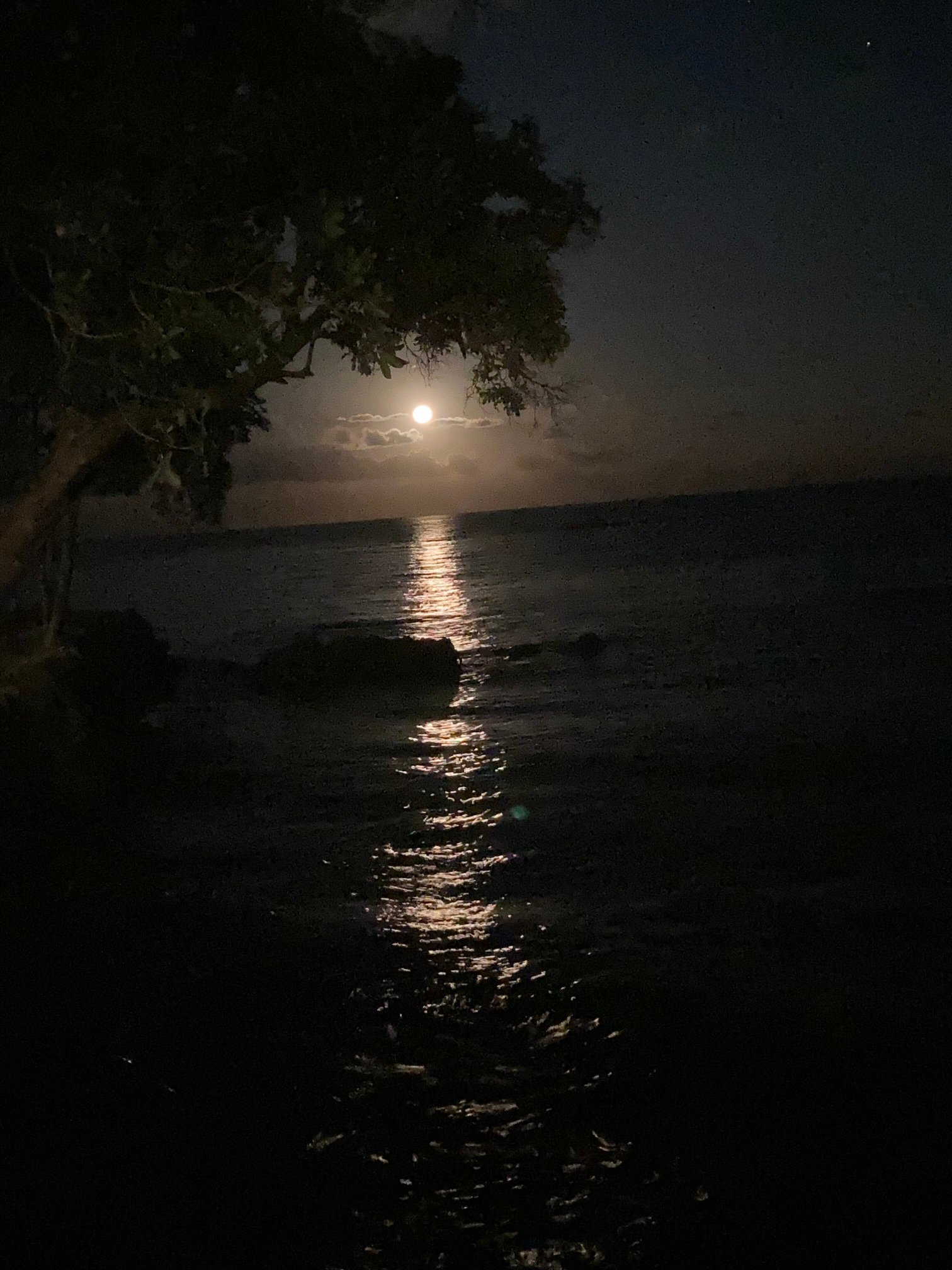 海龟湾度假村-酒店景观