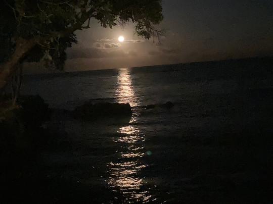 海龟湾度假村主图