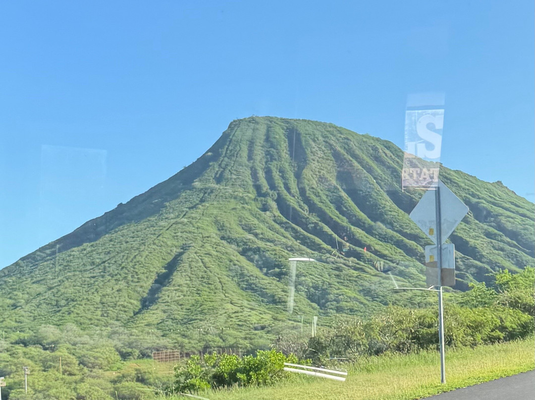 ALLSTAR TRANSPORTATION & TOURS LLC-瓦胡岛必去景点