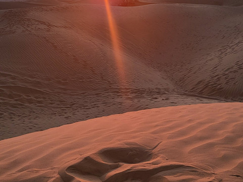 Dhofar SAS Trips-塞拉莱必去景点