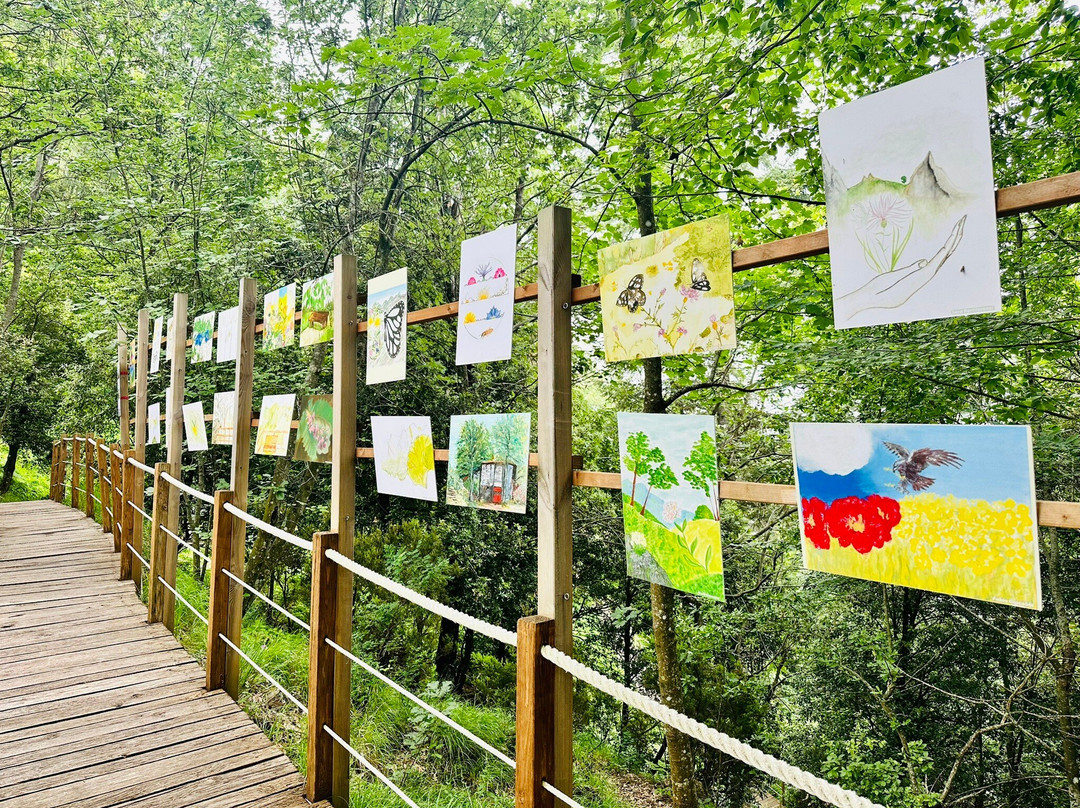 Orto Botanico Pellegrini - Ansaldi-马萨必去景点