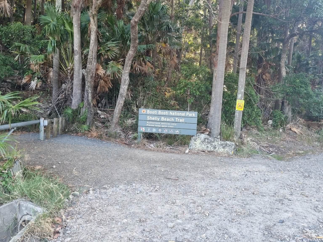 Shelly Beach, Elizabeth Beach NSW-Elizabeth Beach必去景点