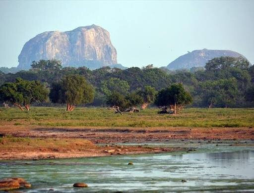 Yala Safari Srilanka-蒂瑟默哈拉默必去景点