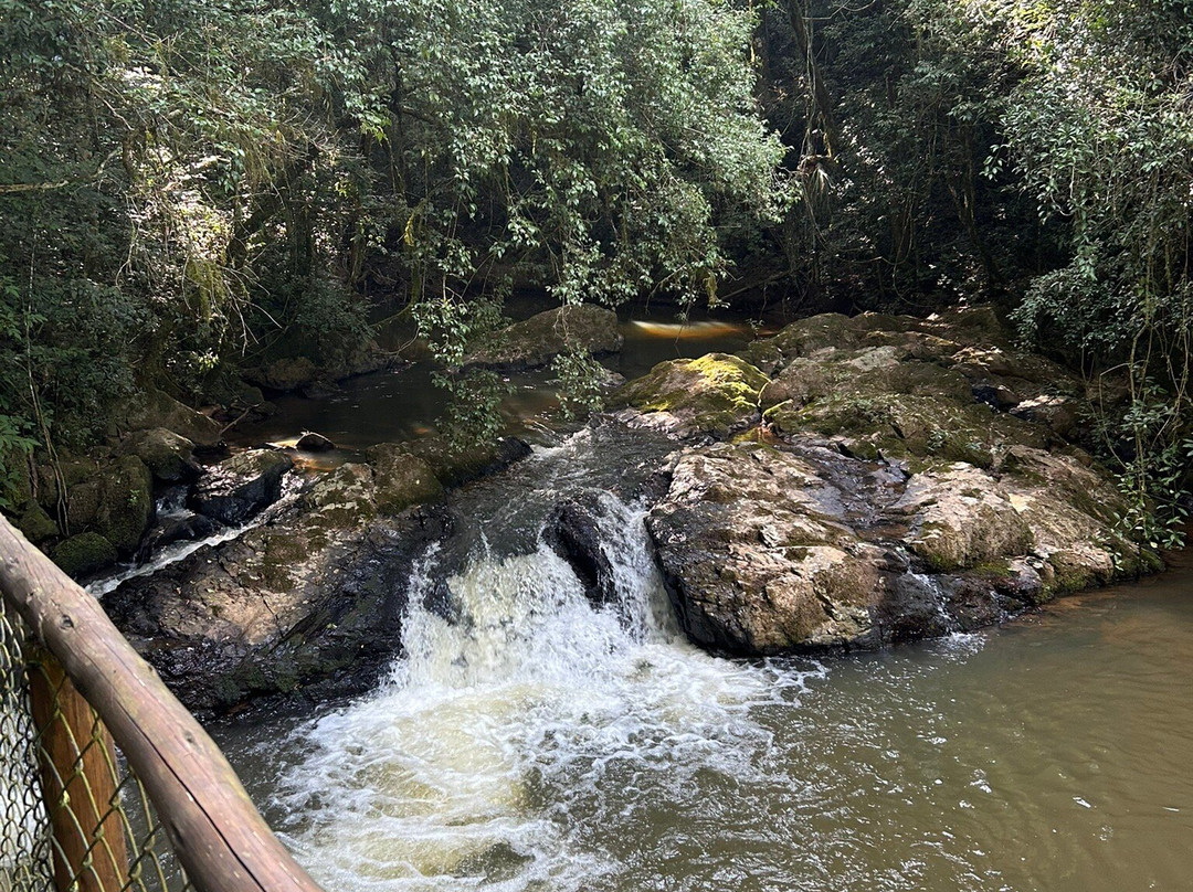 Hotel Vinícola Davo主图