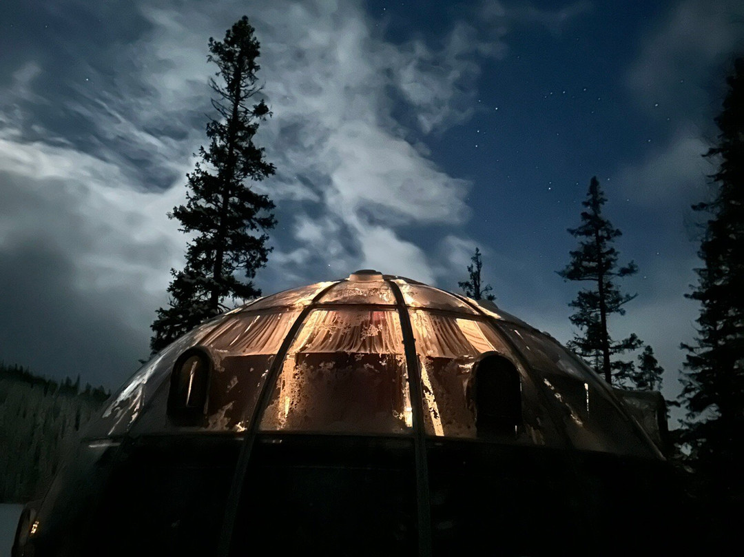 Rypetoppen Adventurepark-Meraker Municipality必去景点