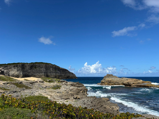 Blue Pearl-瓜德罗普岛必去景点