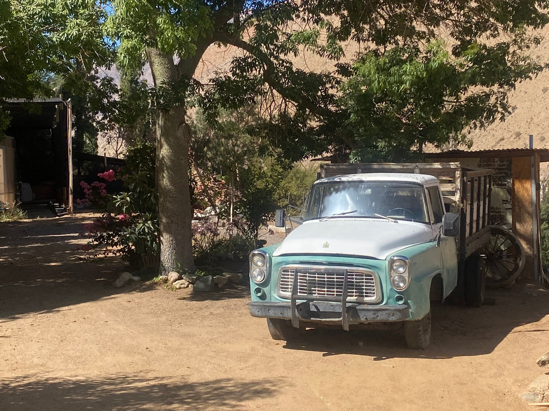 Fundo Los Nichos-Pisco Elqui必去景点