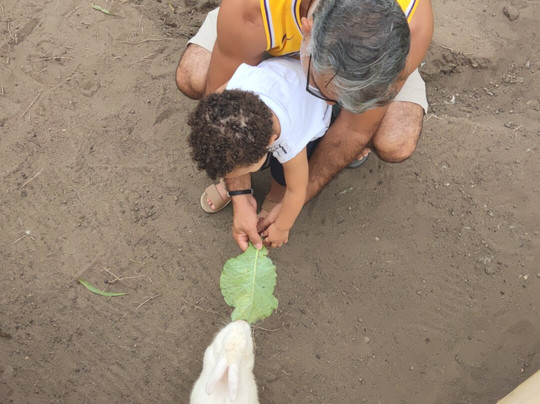 Hotel Sesc Garanhuns主图