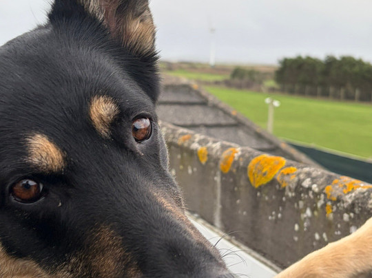 Mawgan Porth Golf Club-纽奎必去景点