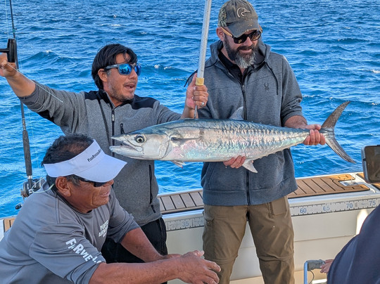 Fish Riviera Maya-阿范特拉斯港必去景点