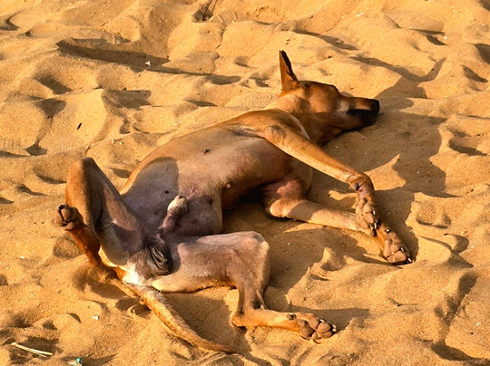 Friend’s Corner Beach Shack