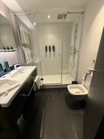 希尔顿伦敦希斯罗机场酒店-浴室