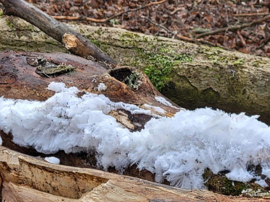 Wild- & Erlebnispark Daun-Daun必去景点